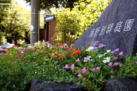 IMG 0038 DxO