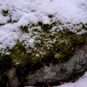 First proper snow of winter 19-20
