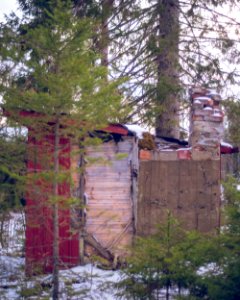 Abandoned shed photo