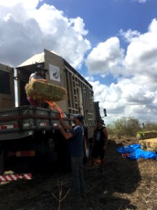 Presidente do Santuário de Elefantes Brasil, Scott Blais, nos preparativos do resgate de Rana