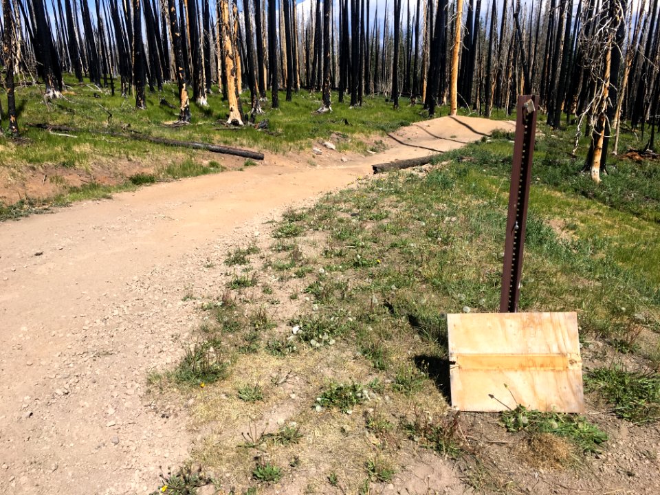No Sign of Closed Road