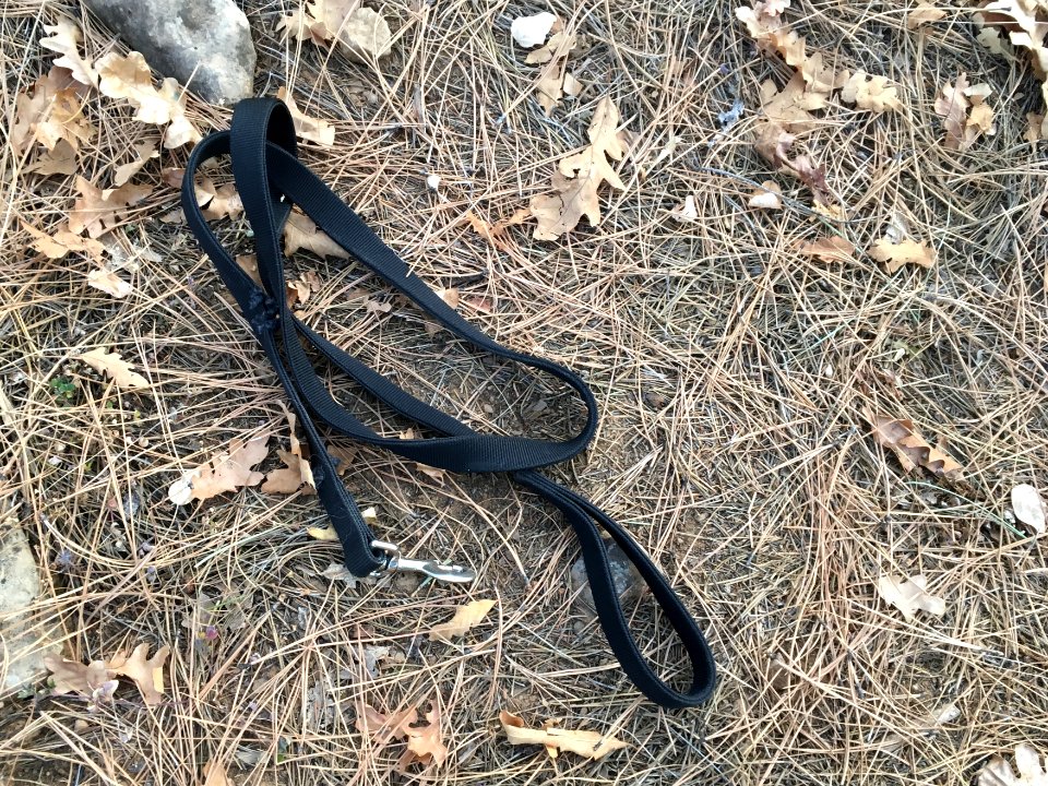 Leash Not Found