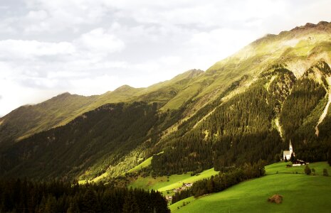 Meadow landscape vegetation
