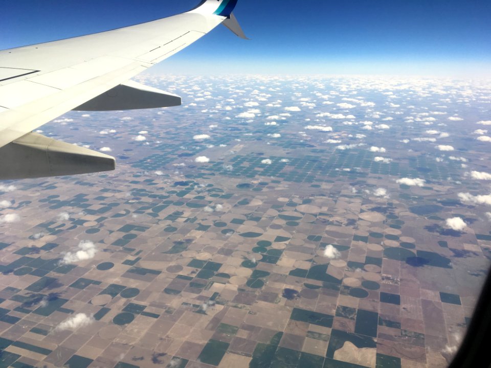 Texture to the Horizon