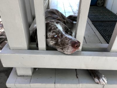 This is My Aren't You Guilty of Leaving Me Here? look