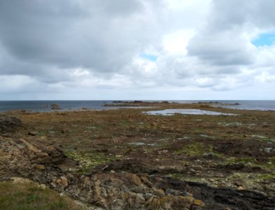 Bord de mer