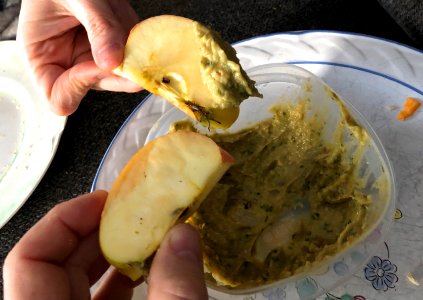 Guacamole Theory