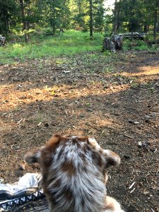 Watching Our Guests