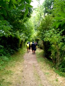 Chemin de randonnée