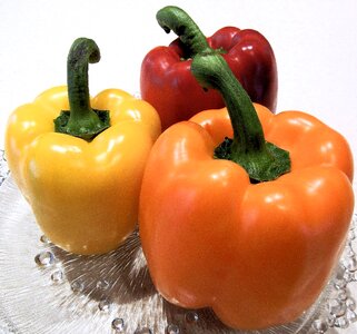 Orange vegetable food