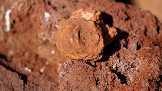 Nature oklahoma the stone roses