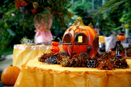 IMG 1385 DxO