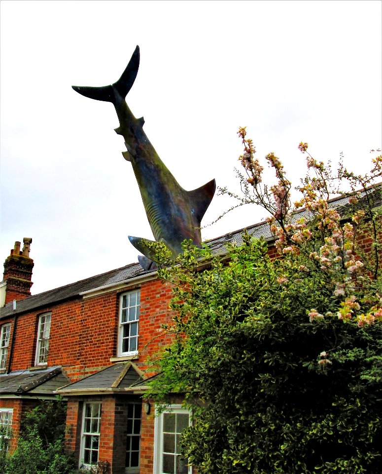 THE HEADINGTON SHARK....