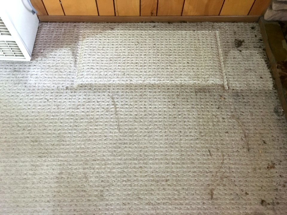 Yep, The Carpet Needs Cleaning