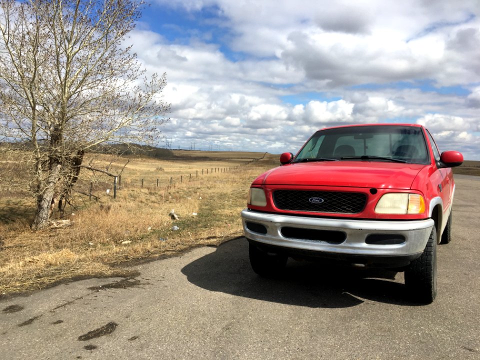Red Dog Keeps on Rolling
