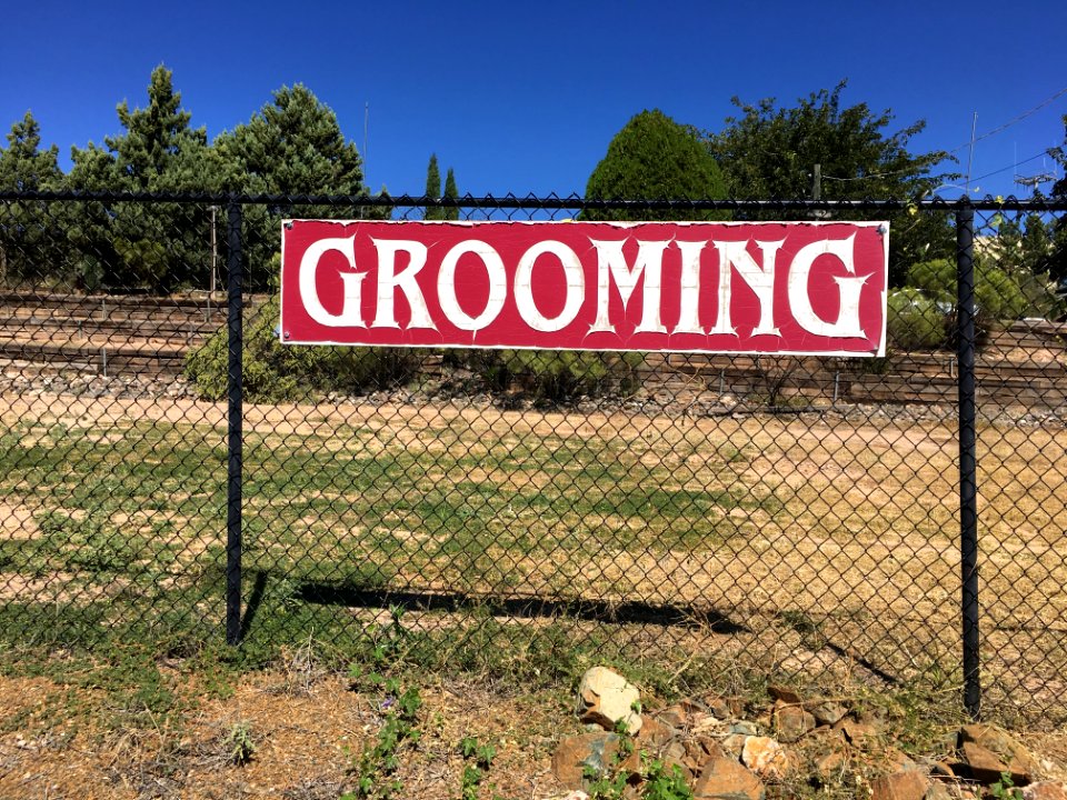 Is Jim Around Here?