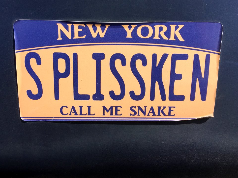 Snake is Hanging Around in Payson AZ