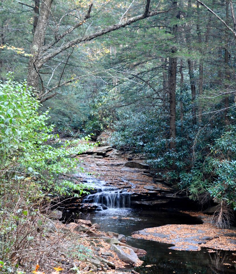 20191005-FS-Monongahela-KMB-795