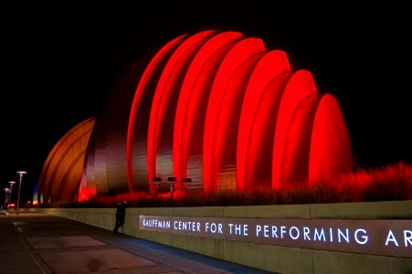 Chiefs Mania 2020