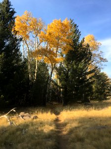 The Route Back
