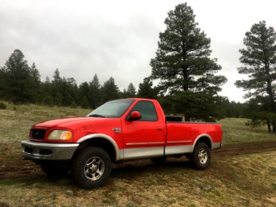 Red Dog in HIs Elements