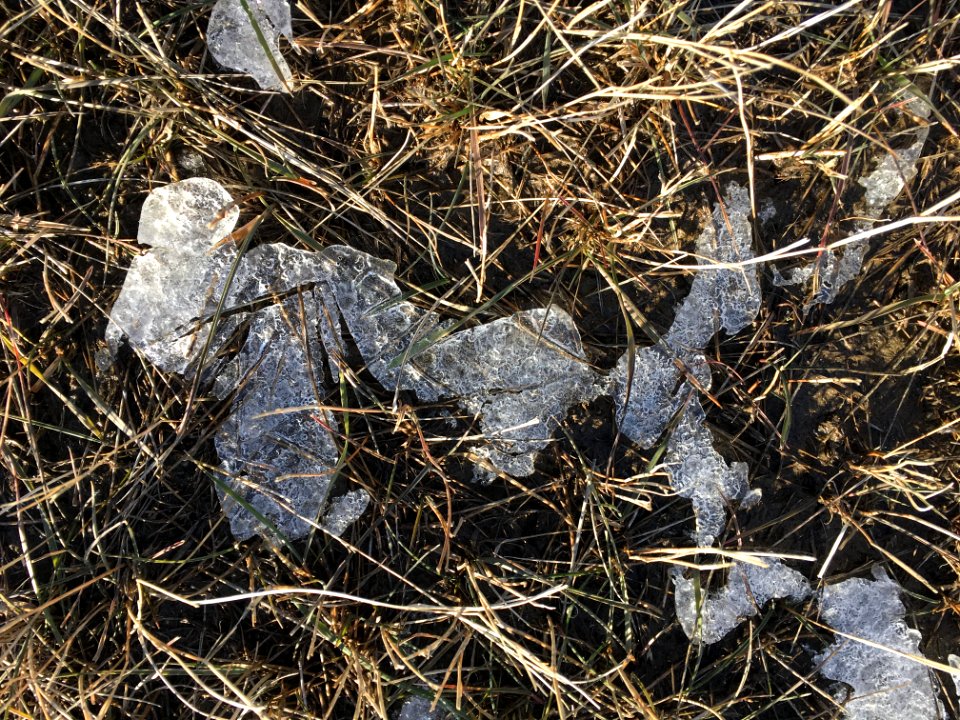 More Ice Rorschach