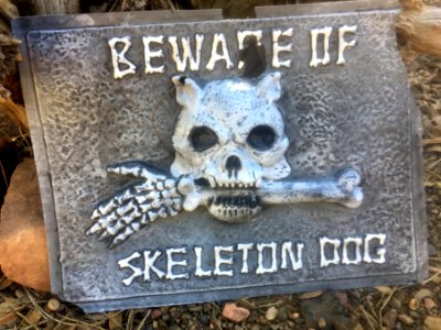 Watch Out for Skeleton Dog