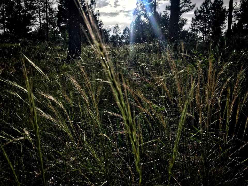 Touched by Light
