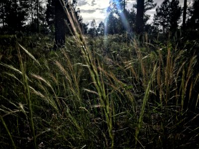 Touched by Light