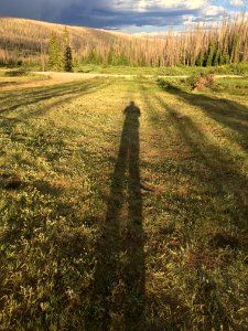 Long Tall Shadow