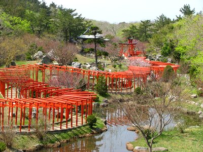 Shrine japan takayama inari
