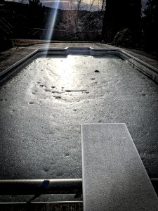 Dive In!