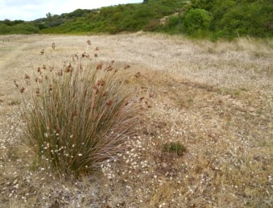 Bord de mer