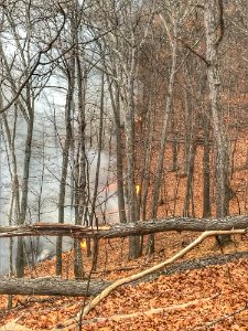 20191129-FS-Monongahela-JRF-012