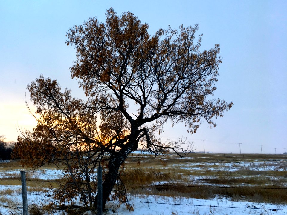 Leaning into Sunset
