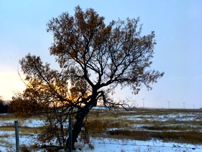 Leaning into Sunset