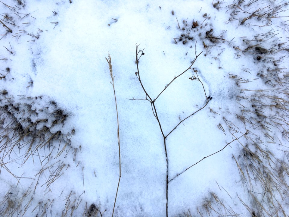 Ground Convergence