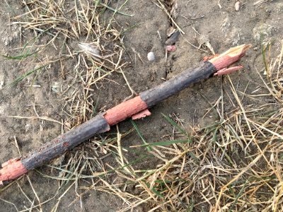 Lost Spear