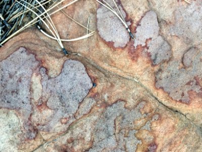 Sandstone Topography