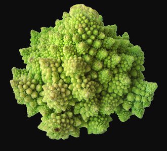 Cauliflower romanesco kitchen