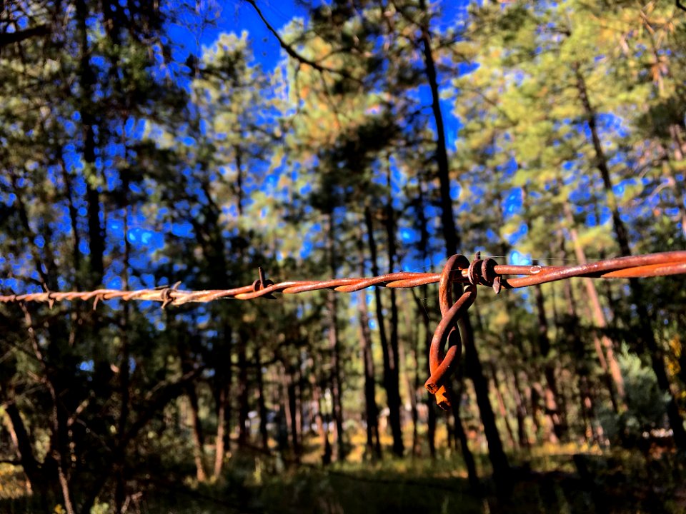 Hanging on a Wire Line