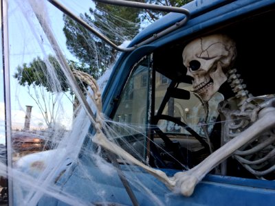 Arizona Uber Driver