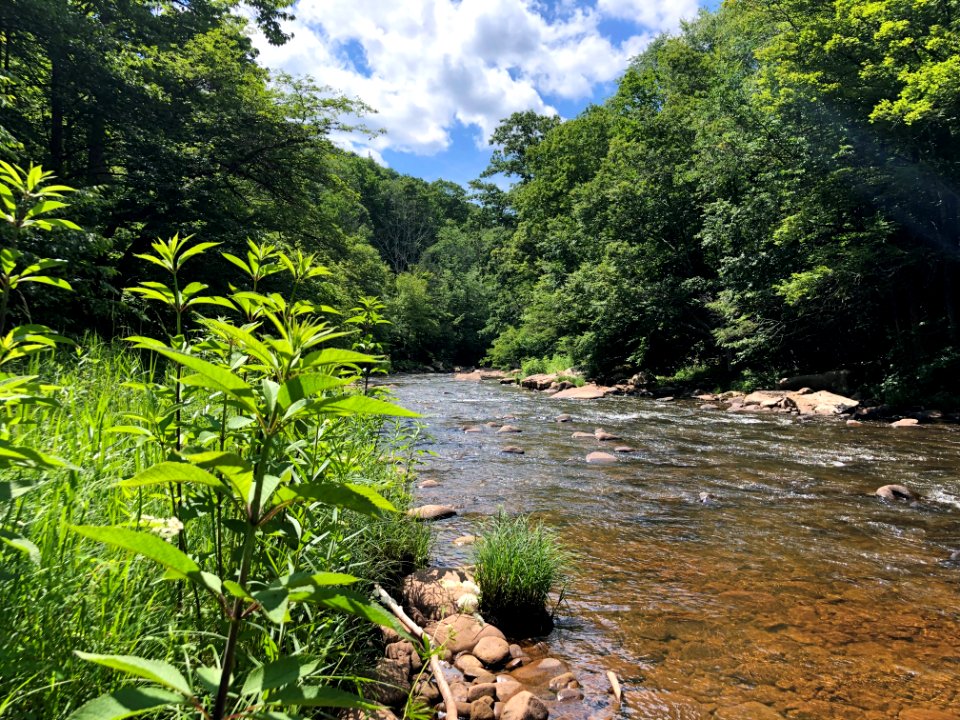 20190623-FS-Monongahela-KMB-587