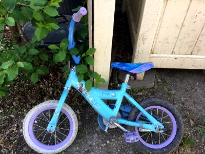 Frozen Bike
