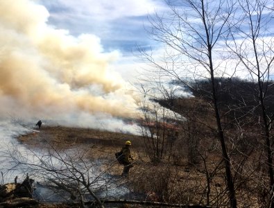20190327-FS-Monongahela-EFD-002