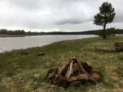 Lone Fire, Lone Tree