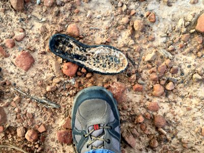 Stalking Little Foot