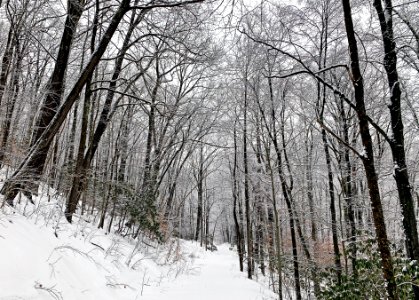 20210211-FS-Monongahela-KMB-077