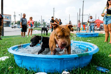Turn up with your PUP-80