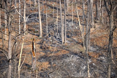 20191129-FS-Monongahela-KMB-1014